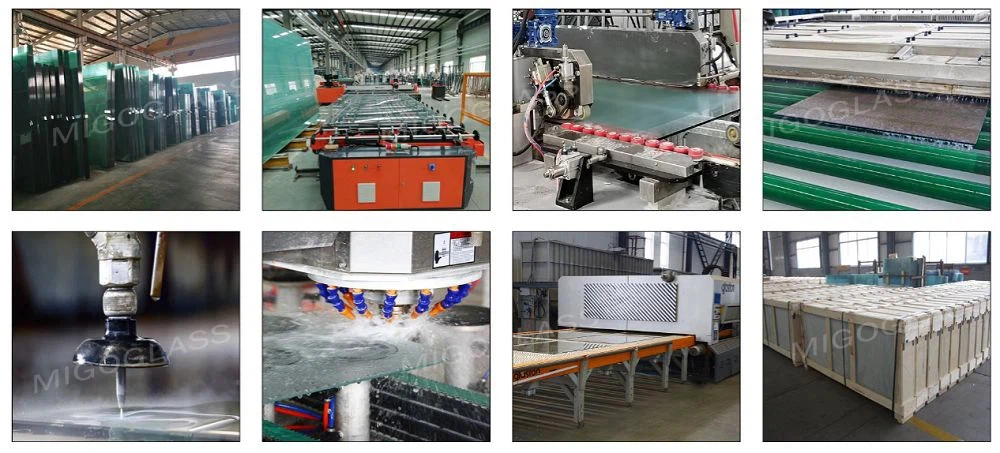 Migo glass processing line-WATERMARK