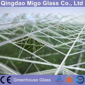 4mm tvrzené skleníkové sklo